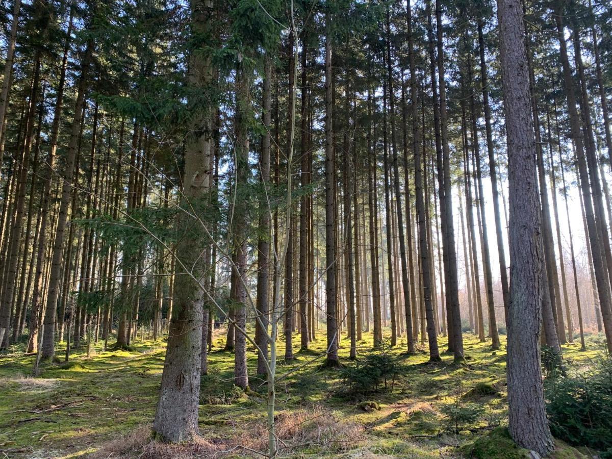 Gartenquartier Bibertal Kültér fotó